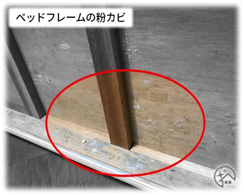 ベッドフレームの裏側に使われている木材にアオカビと白カビが発生