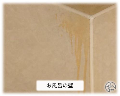 強い濃度のカビ取り剤を使って浴室の壁が塩素焼けを起こす