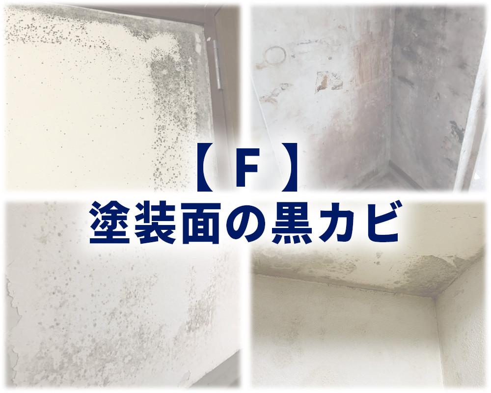 F：塗装面（モルタル・リシン）とコンクリートの黒カビ_カビ取り侍液スプレーシリーズ