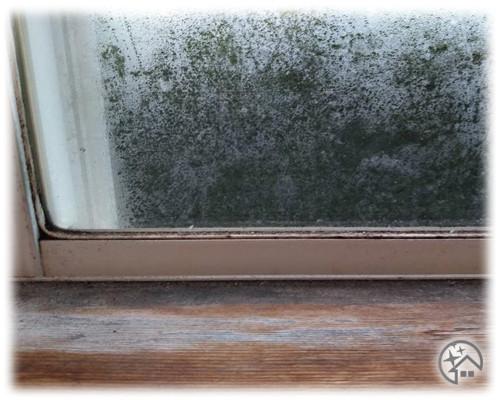カビと灰汁汚れが混じった窓の木枠