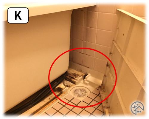 K：お風呂・キッチン・トイレに発生した黒カビ / カビ取り侍の選び方と違い