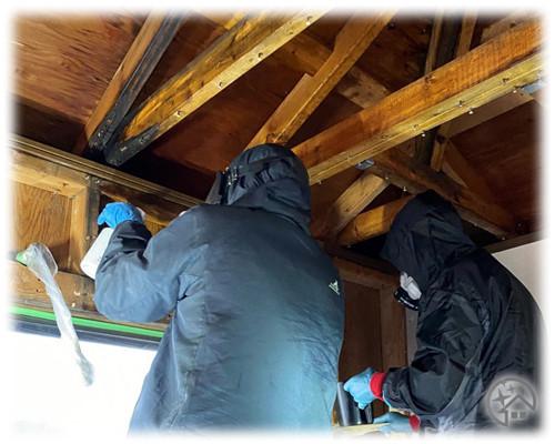 カビ取り業者による天井裏の防カビ施工