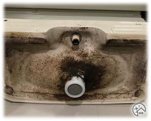 トイレの給水タンクの蓋に発生した黒カビを強力に除去する_before