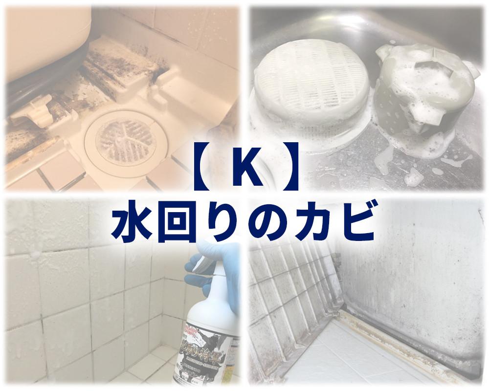 K：お風呂やキッチンなど水回りの黒カビ_カビ取り将軍とカビ取り侍