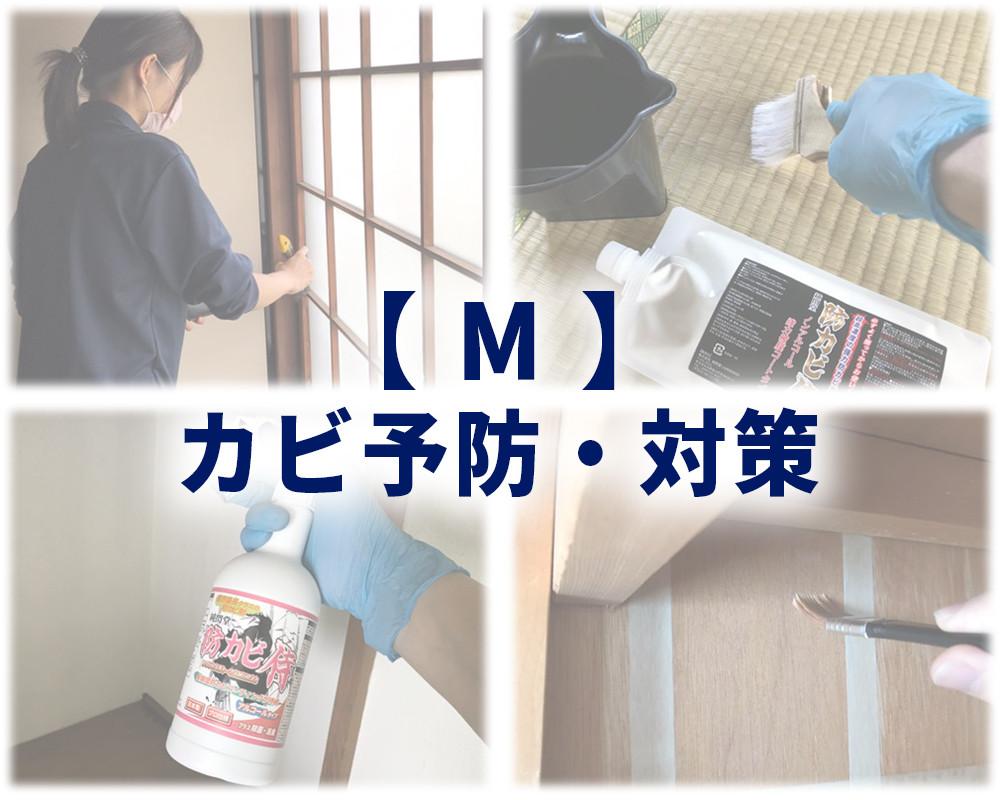 M：カビ予防・カビ対策商品_カビ発生防止剤の防カビ侍で部屋中を自分でカビから守る