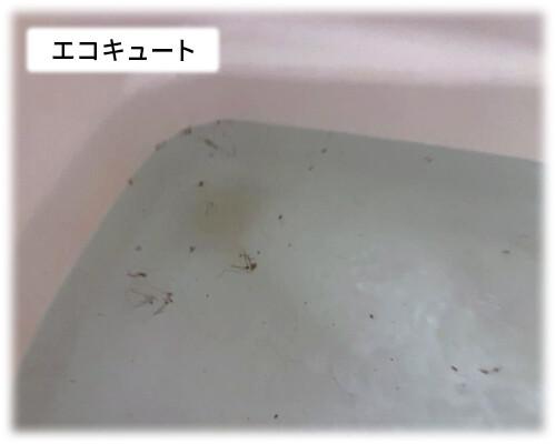 埼玉県熊谷市のエコキュート風呂釜洗浄で出てきた汚れ①