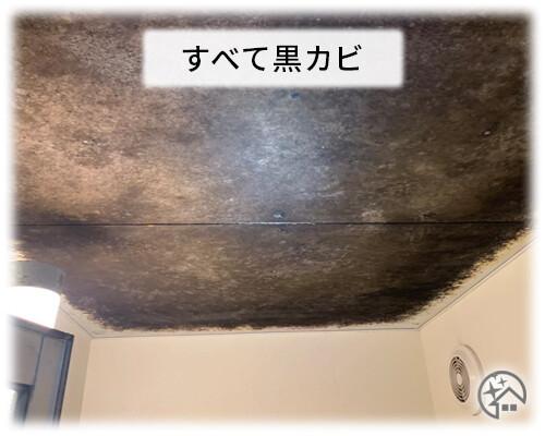 天井の黒カビと悪臭
