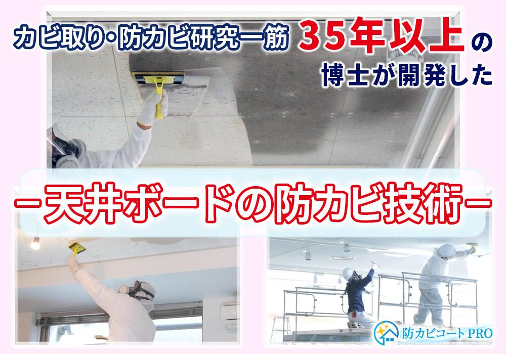 天井ジプトーンボードのカビが生えない技術！カビ取り専門業者/地域：東京都、埼玉県、群馬県、茨城県、栃木県
