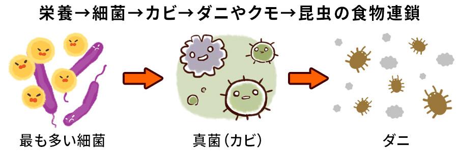 細菌・カビ・ダニ・昆虫の食物連鎖