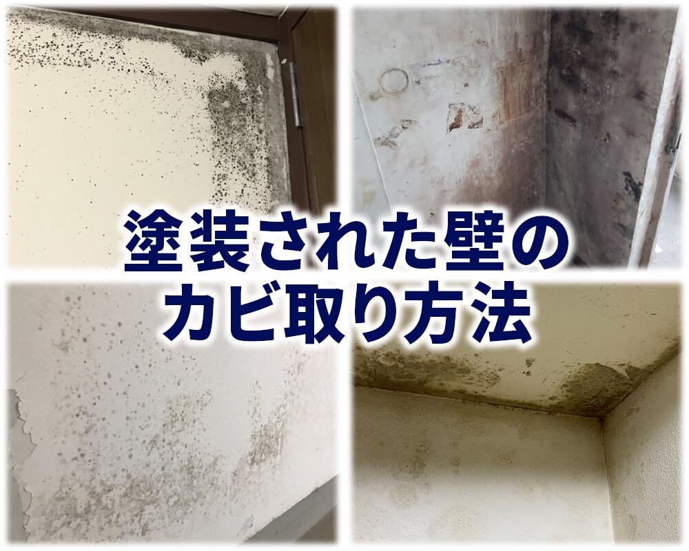 塗装された壁や天井のカビ取り方法と防カビ対策